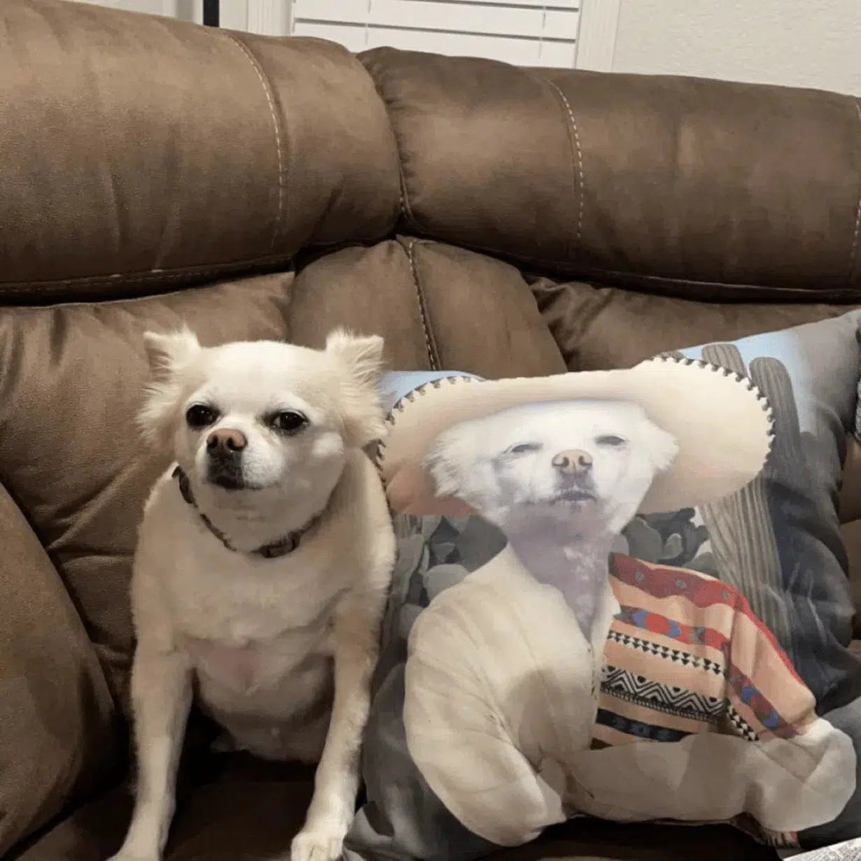 The Sombrero - Custom Throw Pillow
