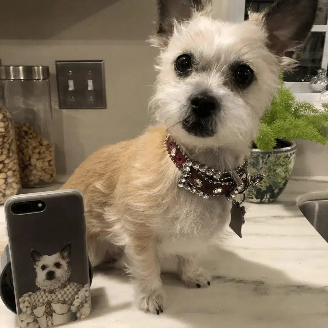 The Princess - Custom Pet Phone Case