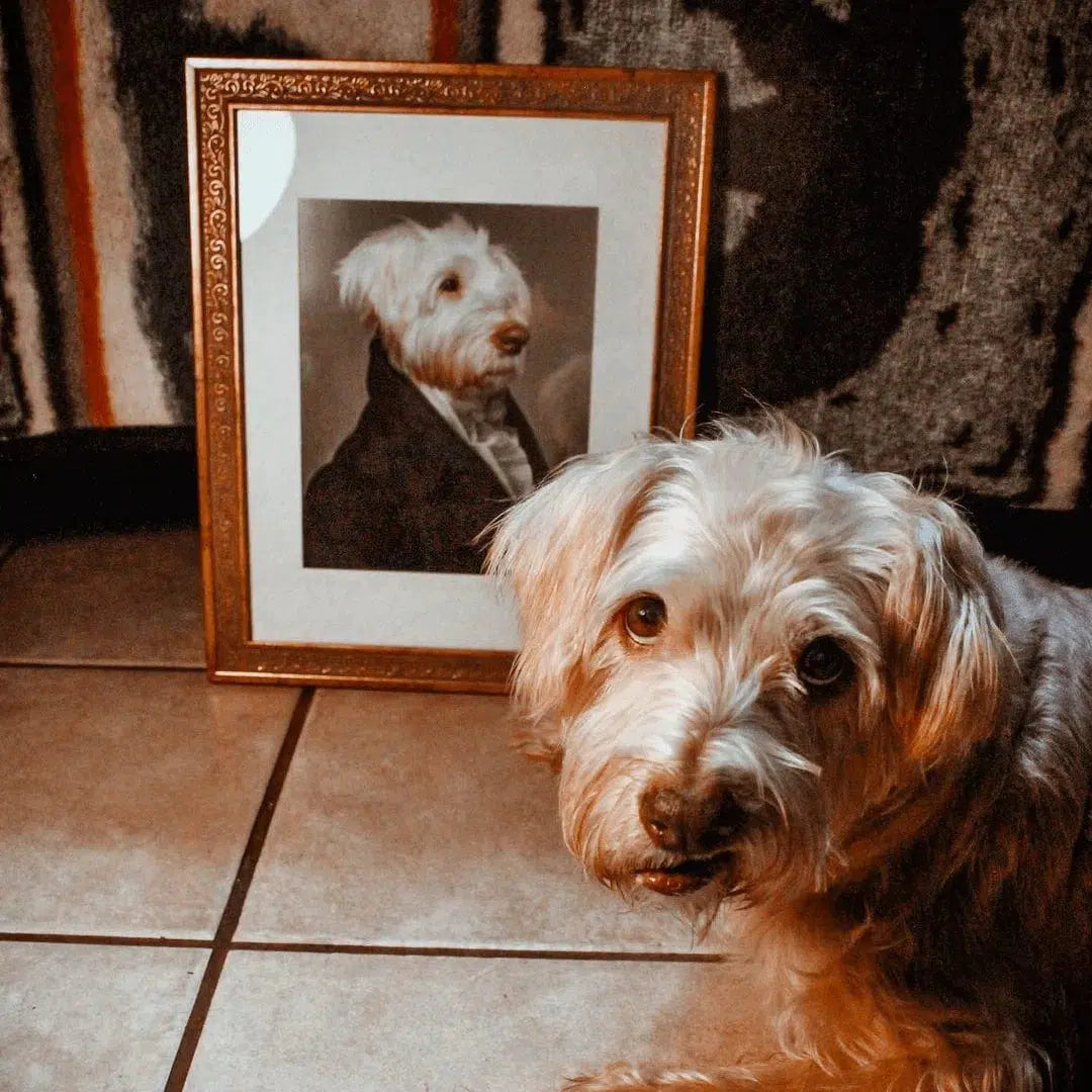 Crown and Paw - Poster The Ambassador - Custom Pet Poster