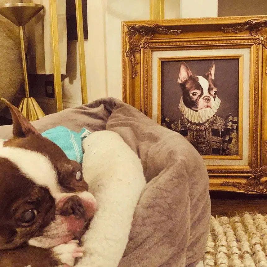 Crown and Paw - Poster The Dame - Custom Pet Poster