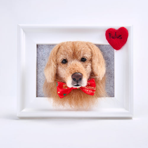 Handmade 3D Pet Face in Frame