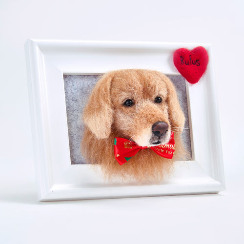 Handmade 3D Pet Face in Frame