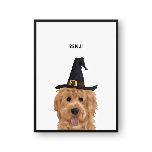 Modern Pet Portrait - One Pet
