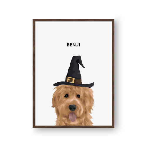 Modern Pet Portrait - One Pet