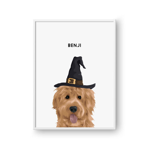 Modern Pet Portrait - One Pet