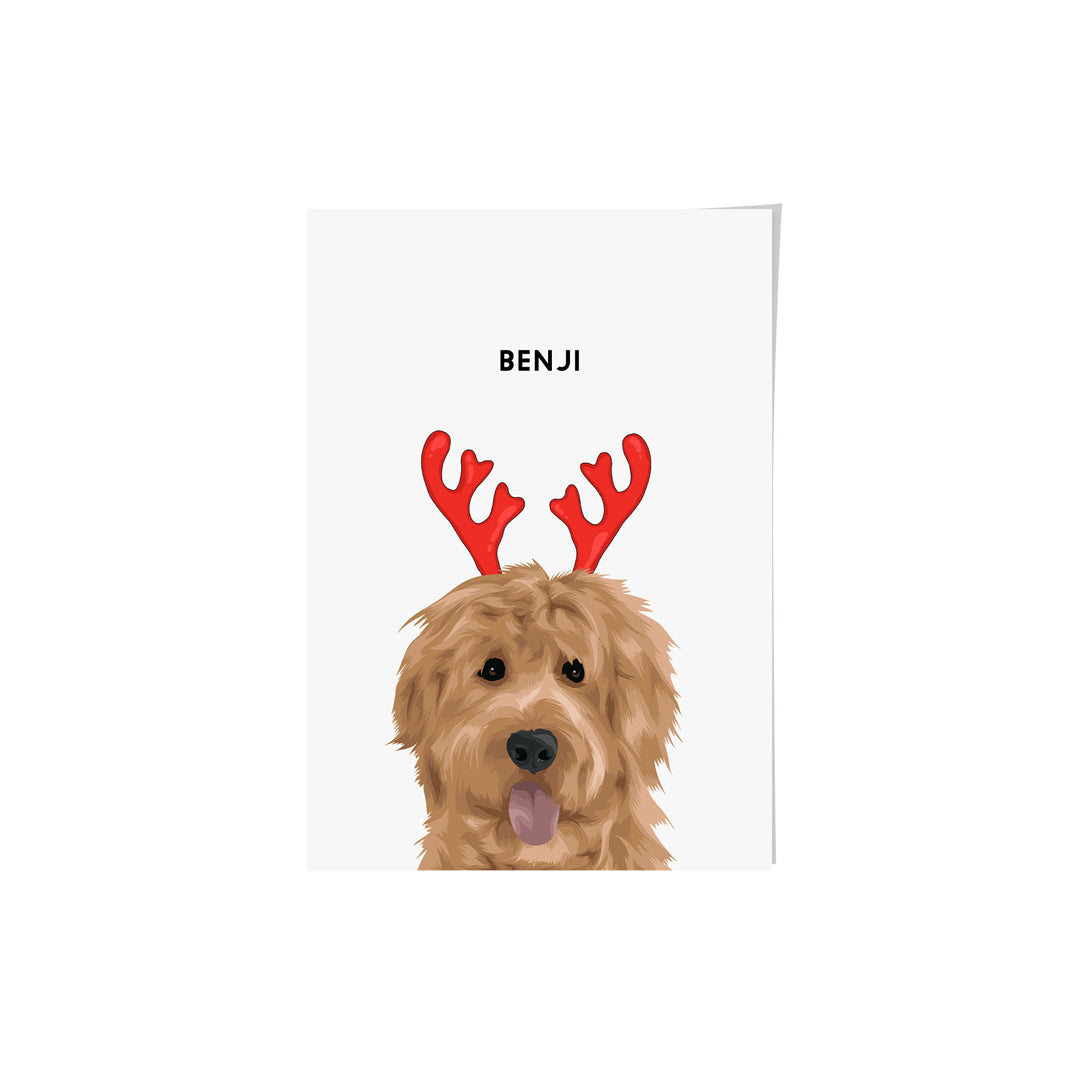 Christmas Pet Portrait - One Pet
