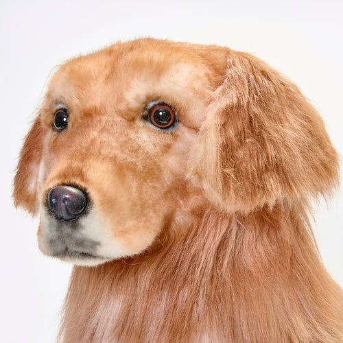 Custom Pet Lifelike Replica - Stuffed Clone of Your Pet