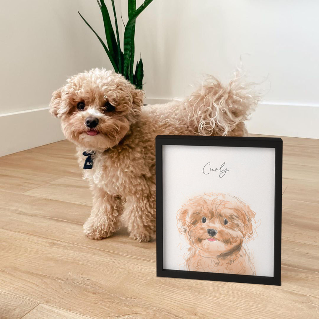 Cute Pet Sketch Portrait - One Pet