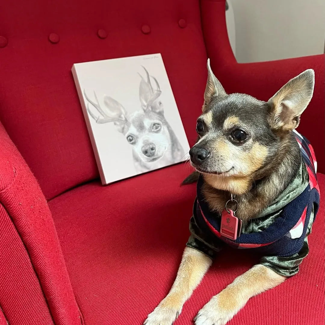Elk Antlers Pet Portrait - Custom Canvas