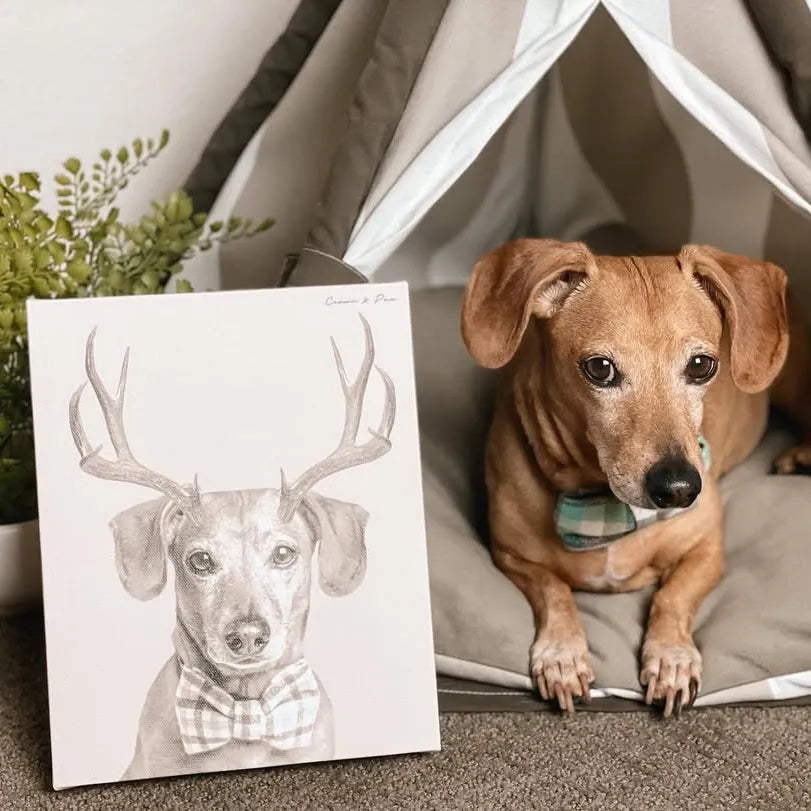 Elk Antlers Pet Portrait - Custom Canvas
