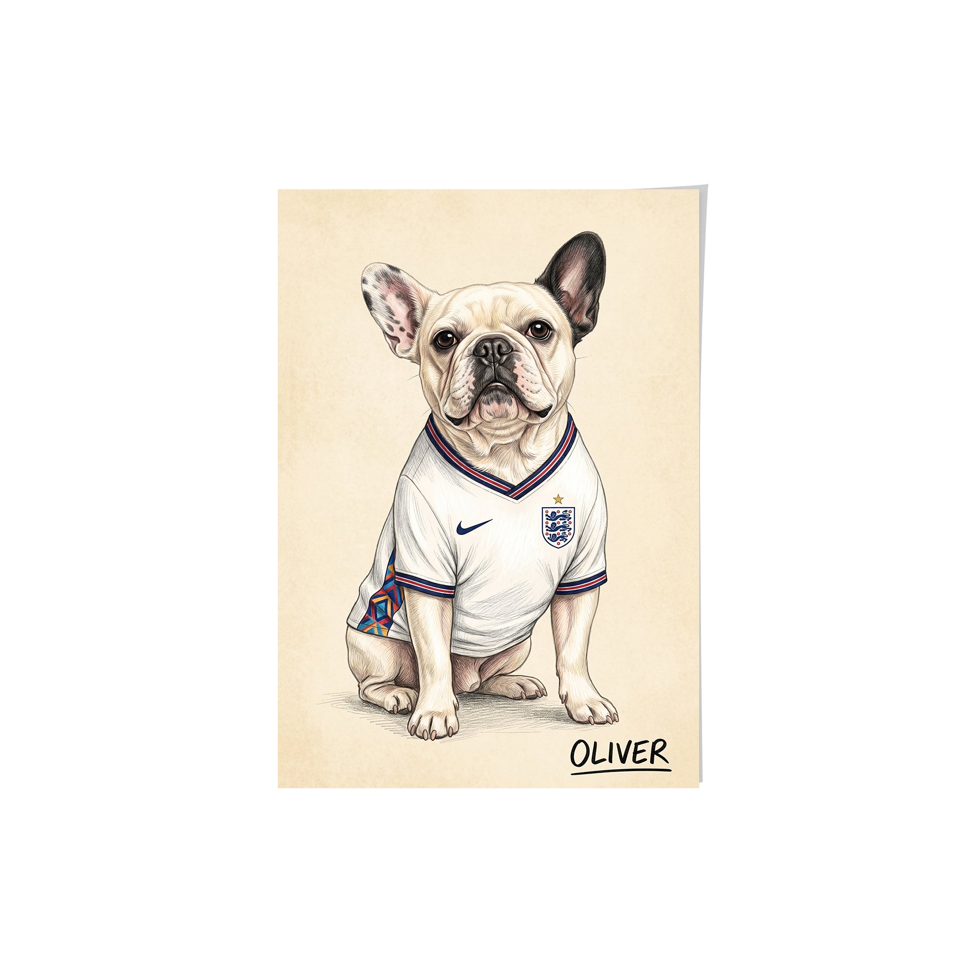 World Cup 2026 Pet Portrait