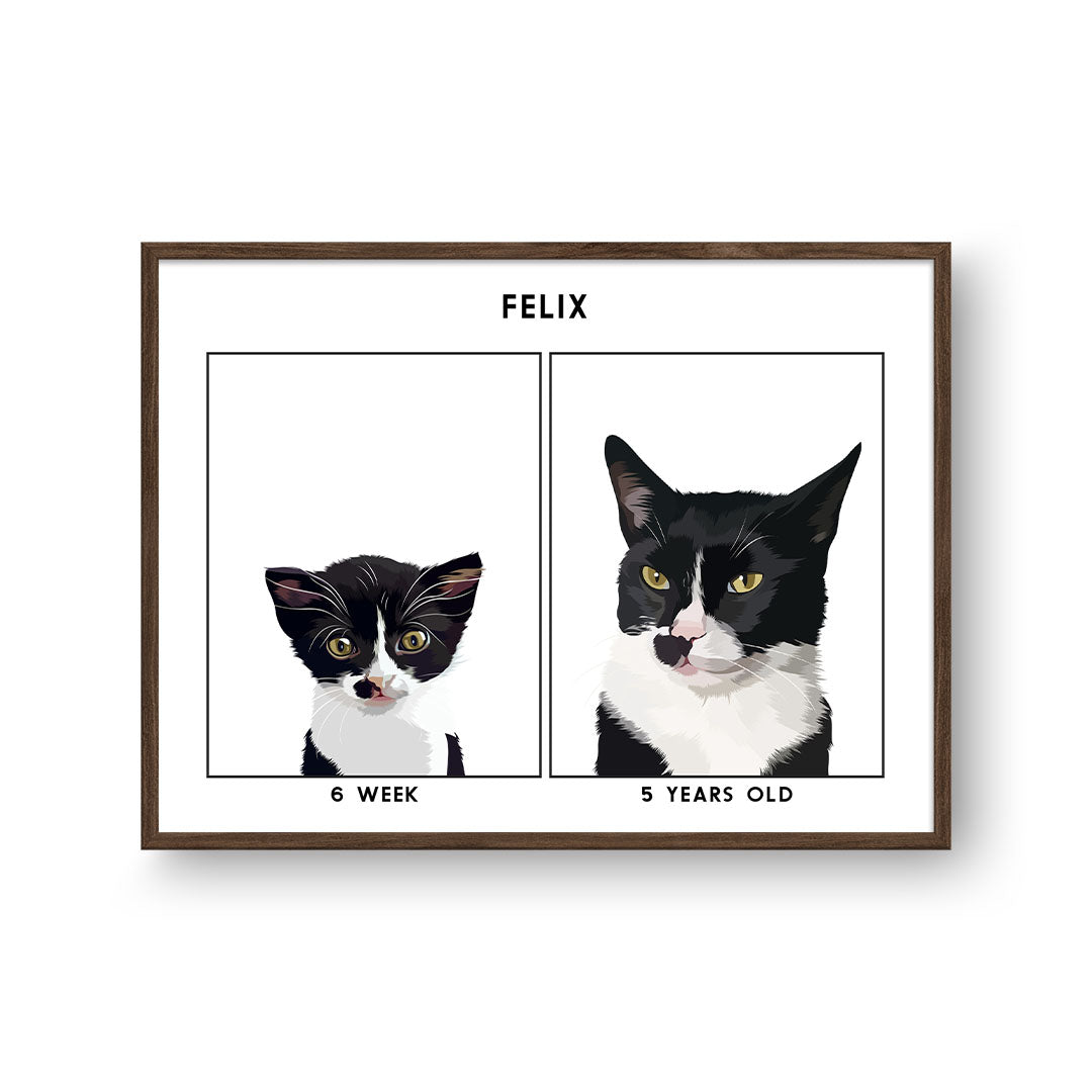 Kitten to Adult Cat Portrait