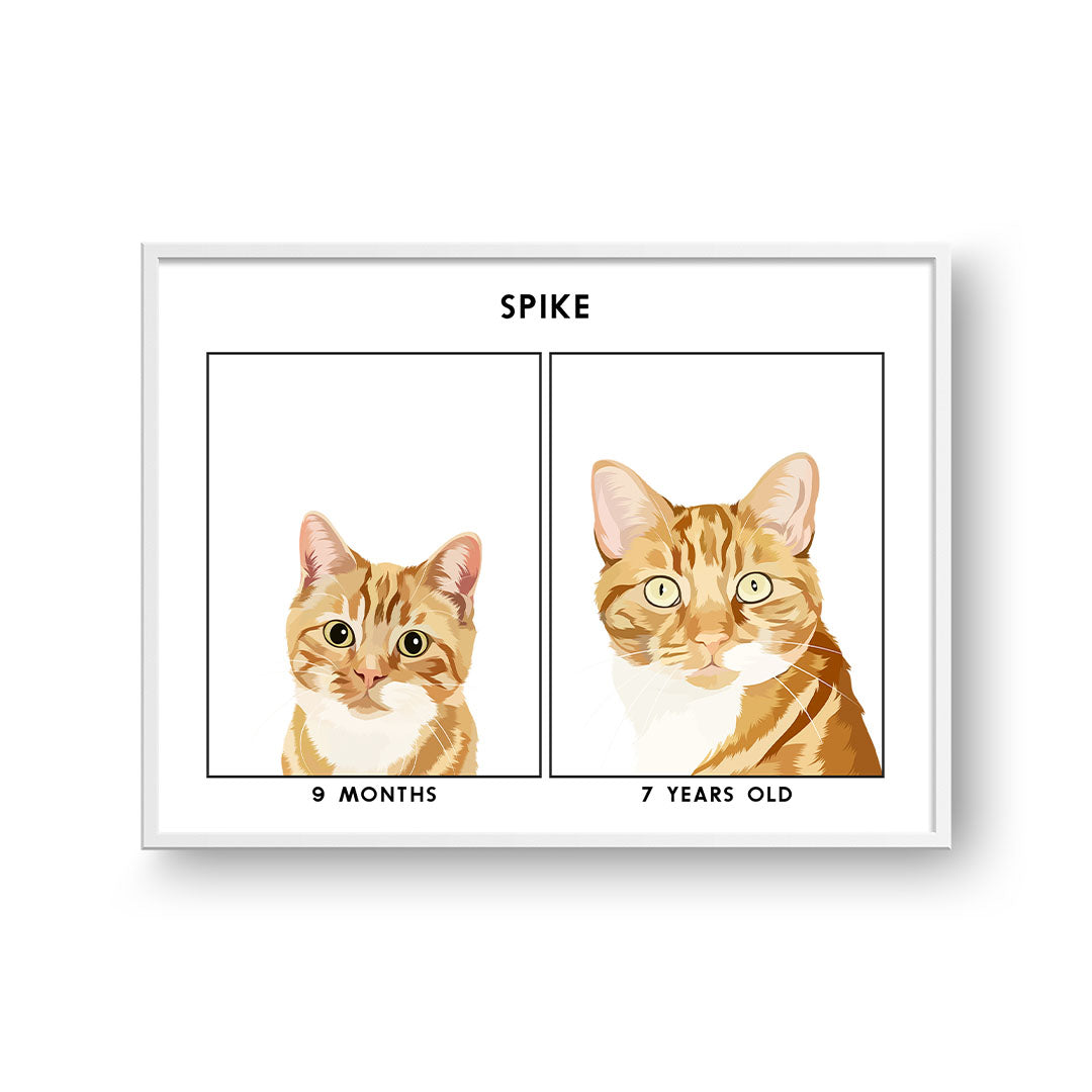 Kitten to Adult Cat Portrait