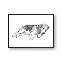 Sleeping Sketch Pet Portrait