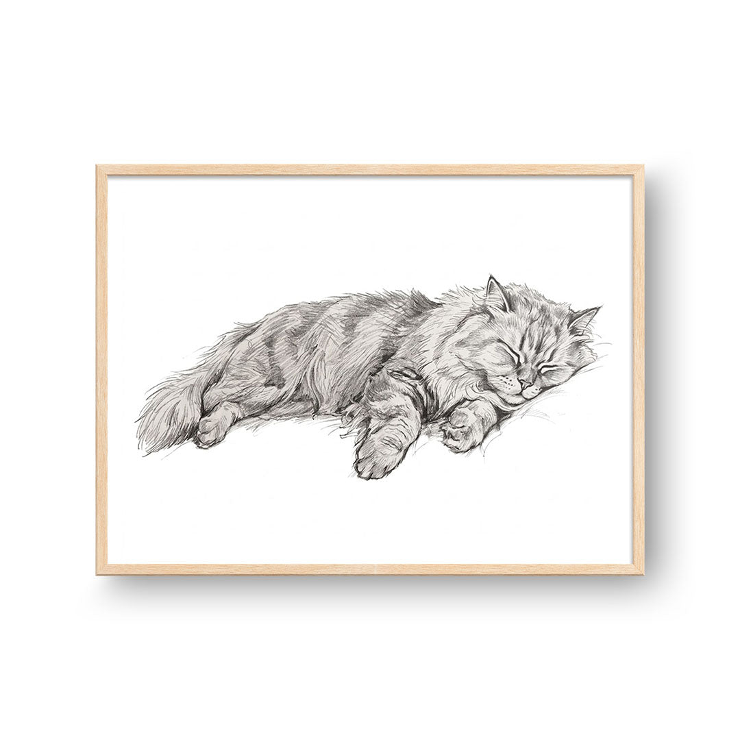 Sleeping Sketch Pet Portrait
