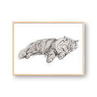 Sleeping Sketch Pet Portrait