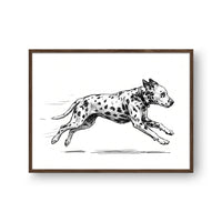 Zoomies Portrait