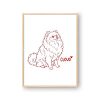 Minimalist Pet Portrait