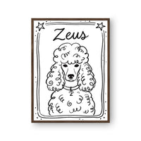 Mystical Doodle Pet Portrait