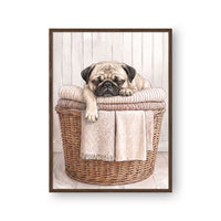 Laundry Room Pet Portrait