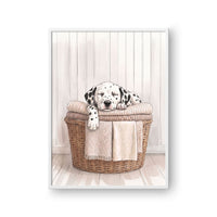 Laundry Room Pet Portrait