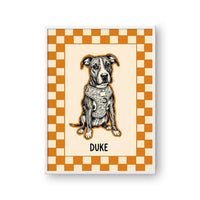 Checkered Pet Portrait