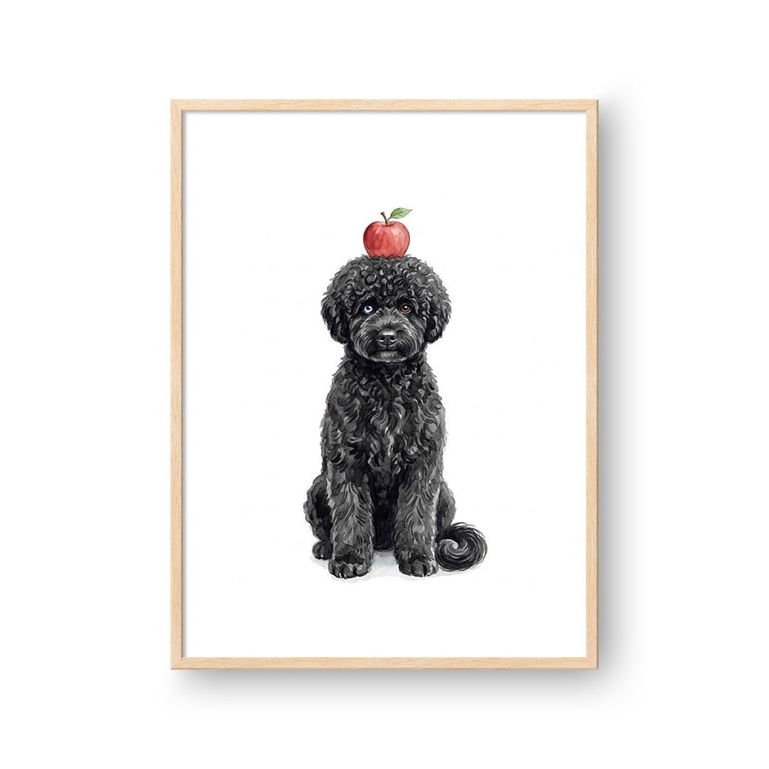 Balancing Apple Pet Portrait