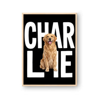 Contemporary Pet Portrait
