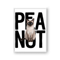 Contemporary Pet Portrait