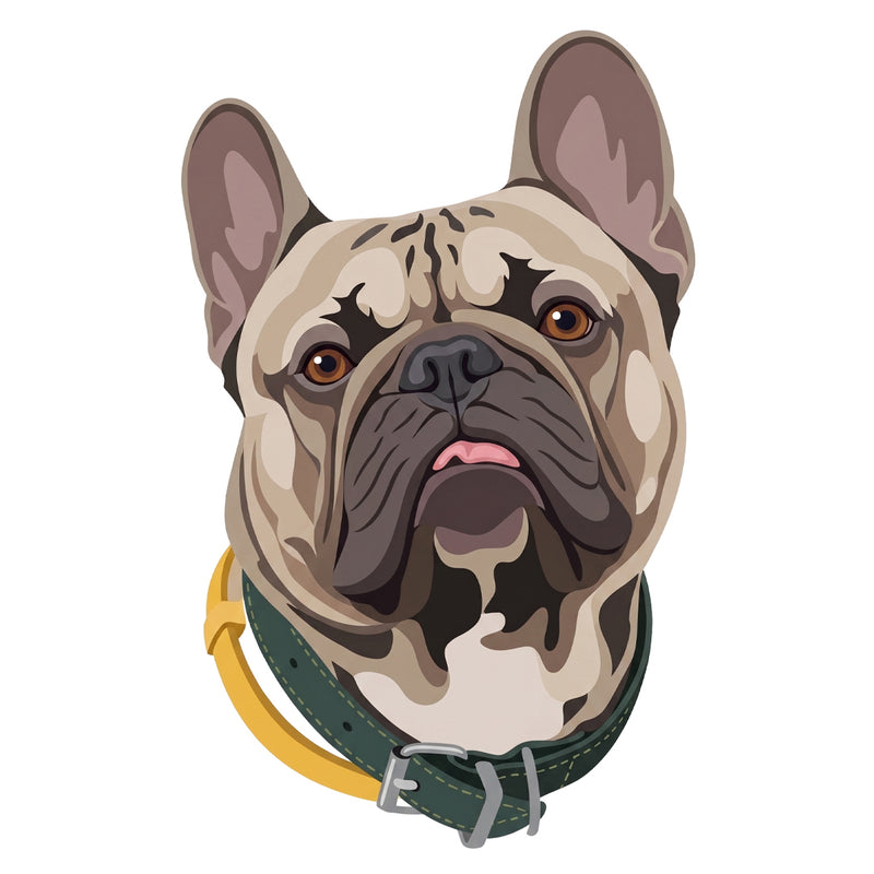 The pet embroidered