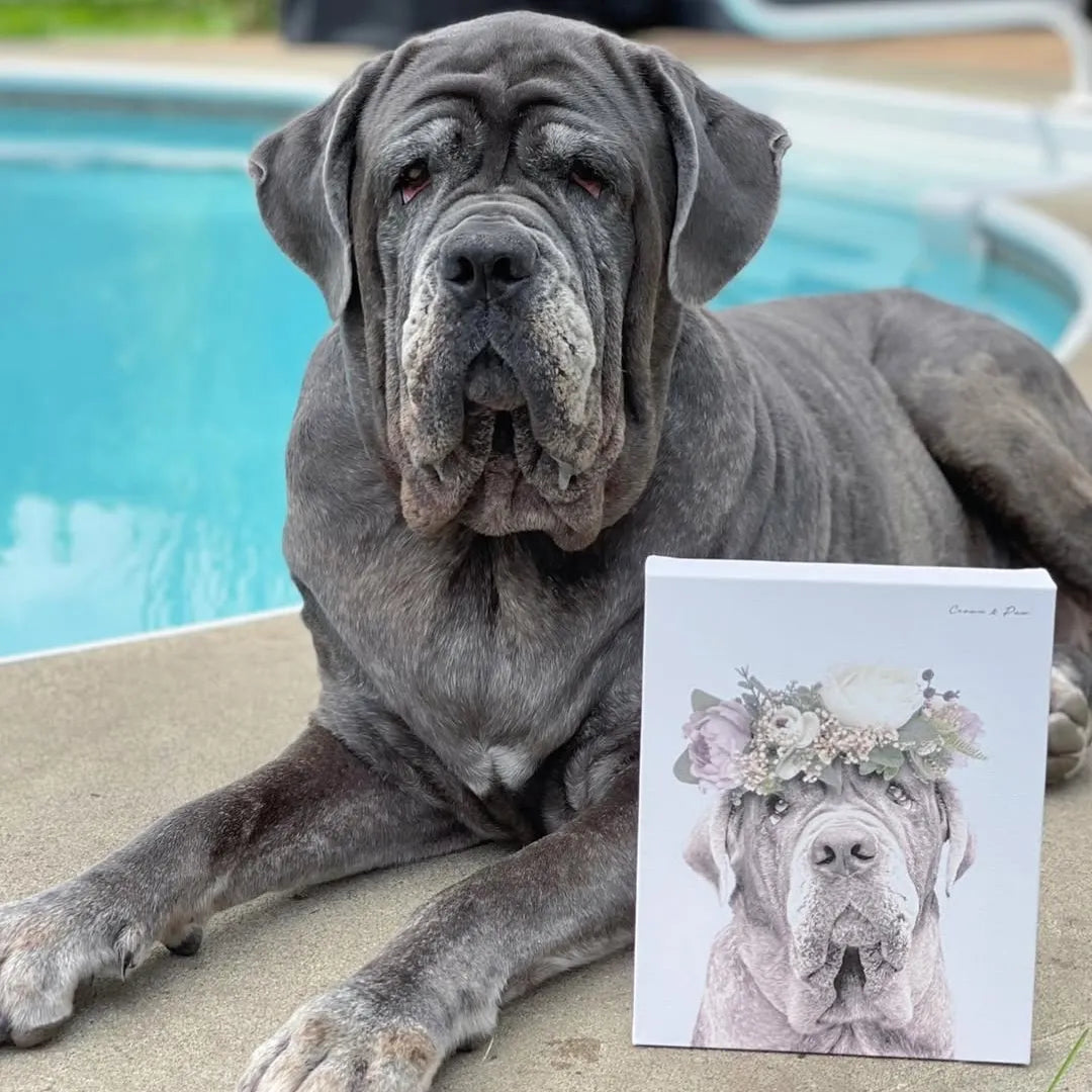 Full Bloom Pet Portrait - Custom Canvas