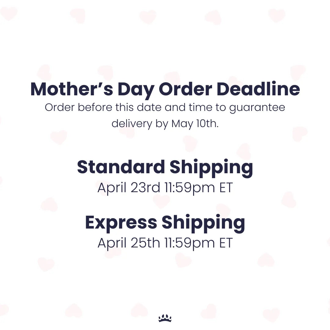 Night Light LED Pet Portrait - One Pet