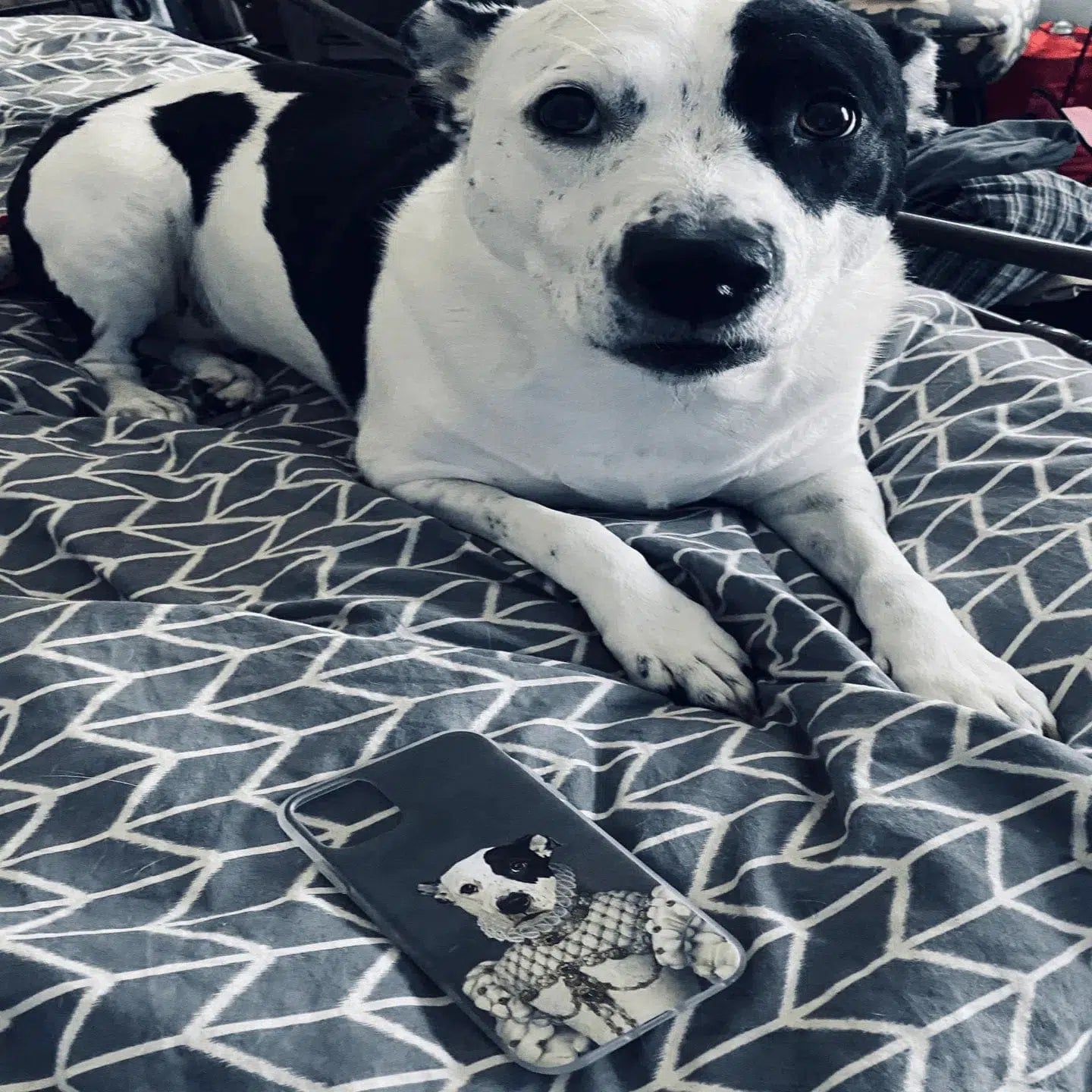 The Princess - Custom Pet Phone Case