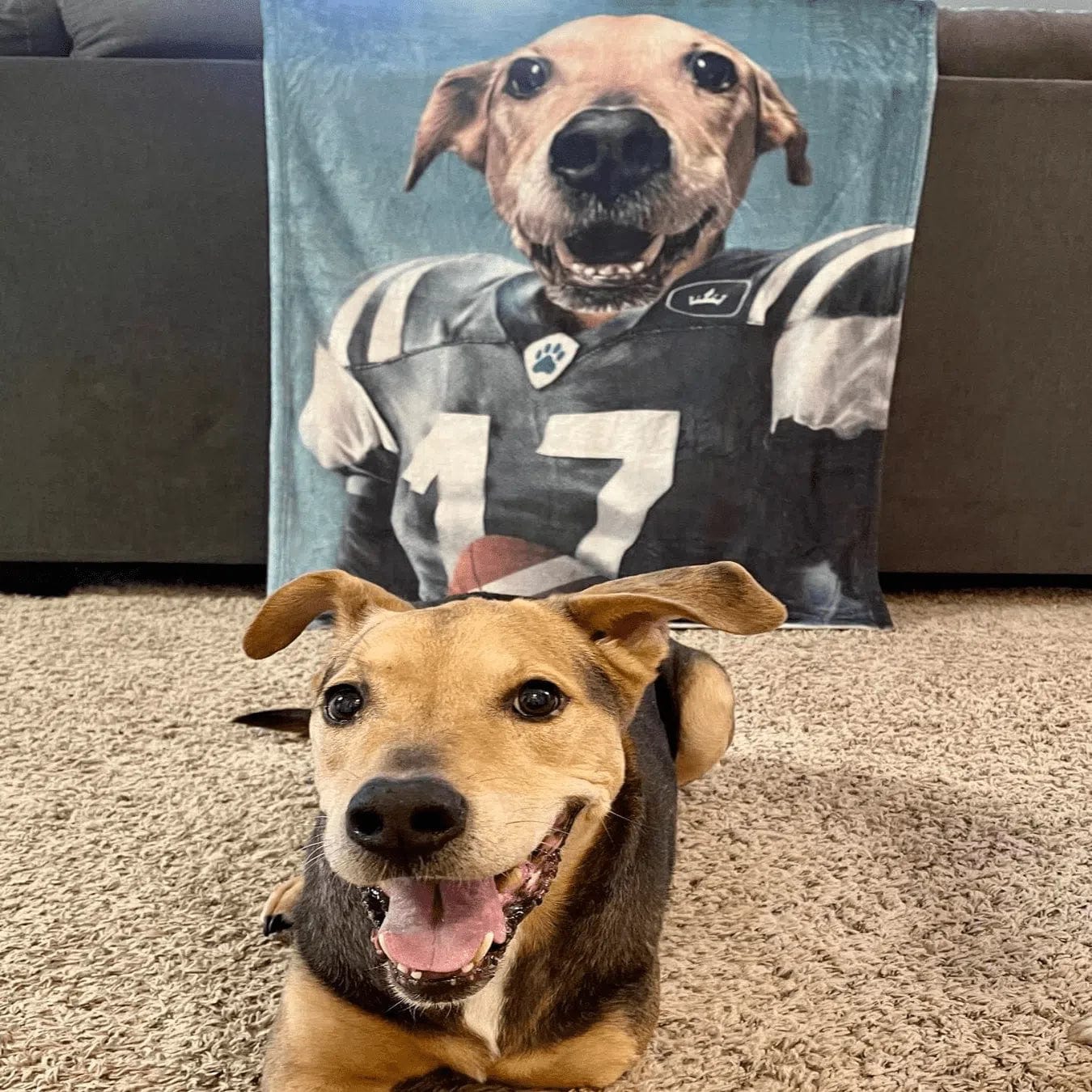 The Football Player - Custom Pet Blanket