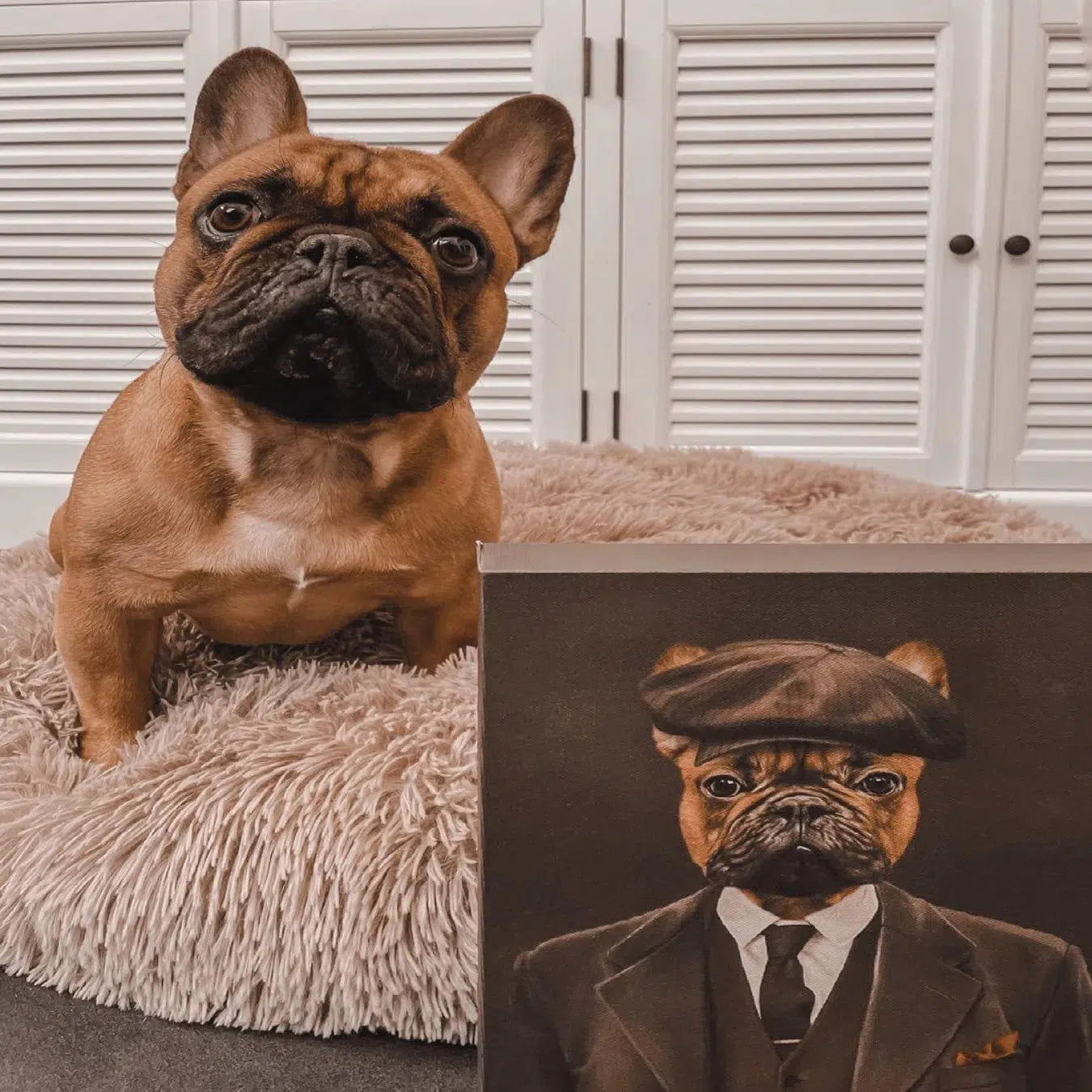Crown and Paw - Canvas The British Gangster - Custom Pet Canvas