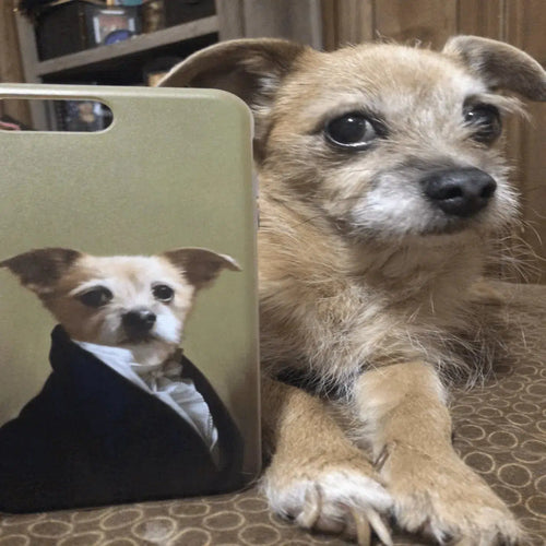 The Ambassador Custom Renaissance Pet Phone Case The Ambassador Custom Renaissance Pet Phone Case
