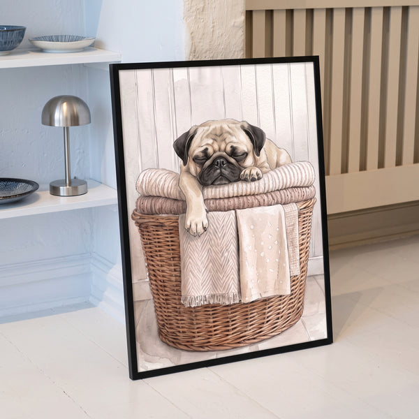 Laundry Room Pet Portrait
