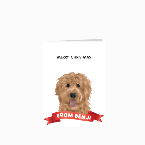 Modern Pet Portrait Christmas Cards - Custom Greetings Cards