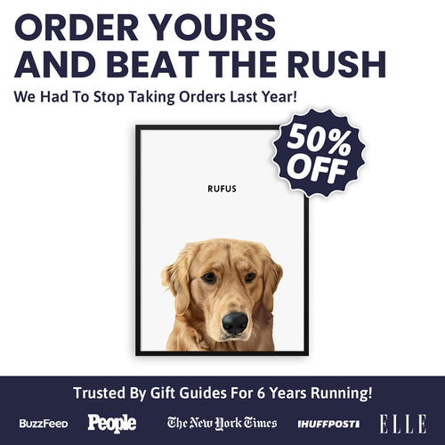 Modern Pet Portrait (50% Off) - One Pet