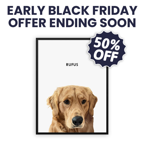 Modern Pet Portrait (50% Off) - One Pet