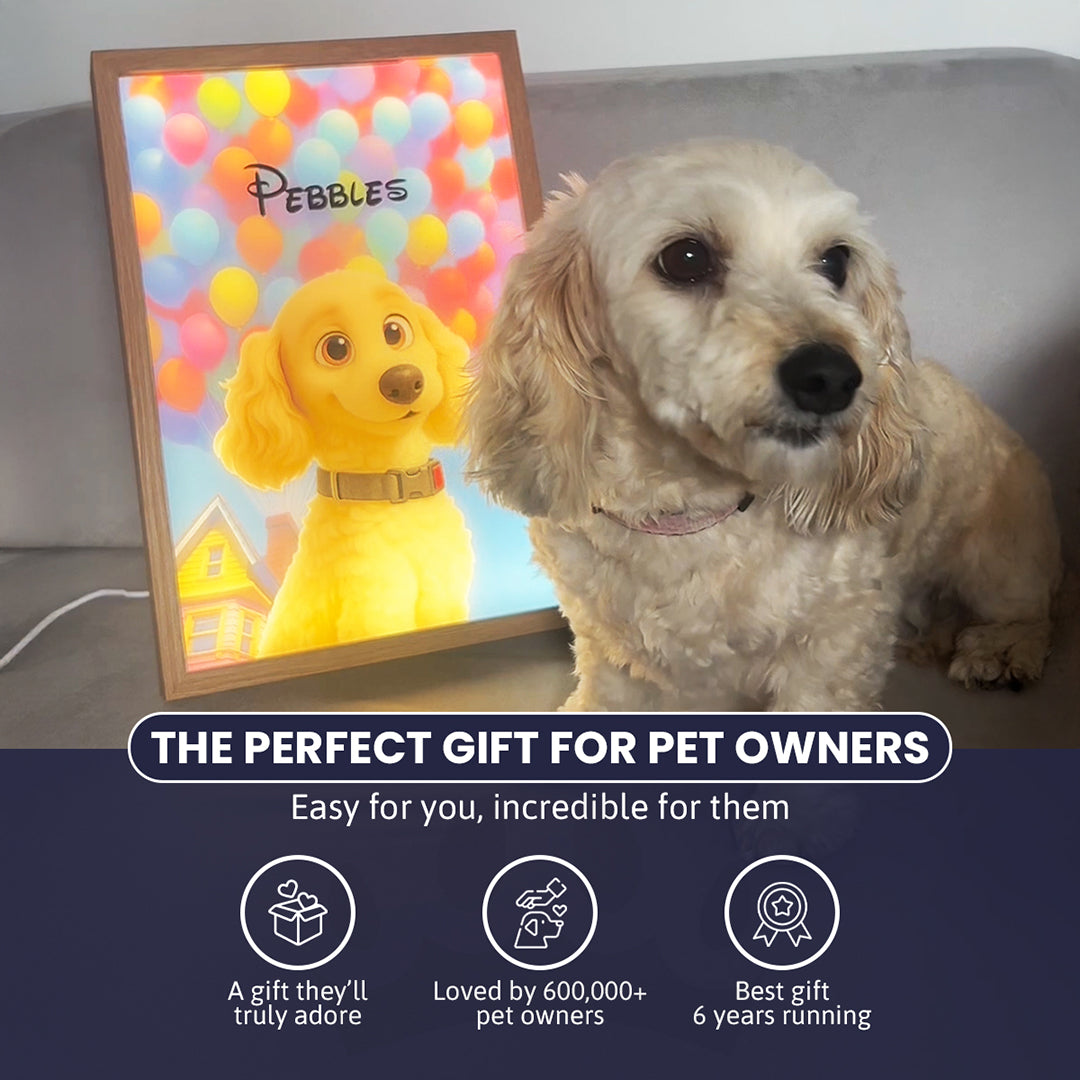 Night Light LED Pet Portrait - One Pet