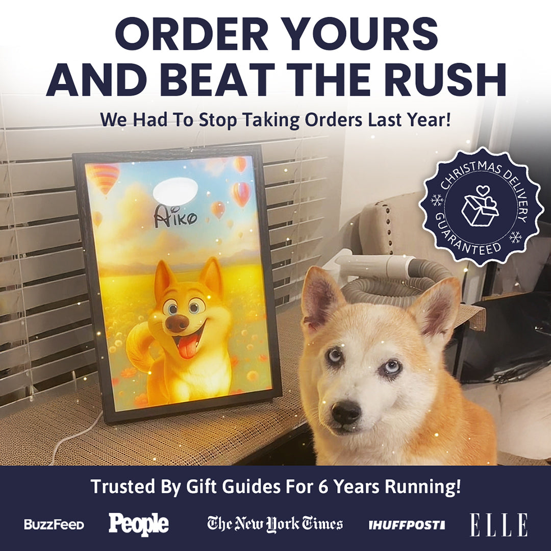 Cartoon Pet Portrait LED Night Light