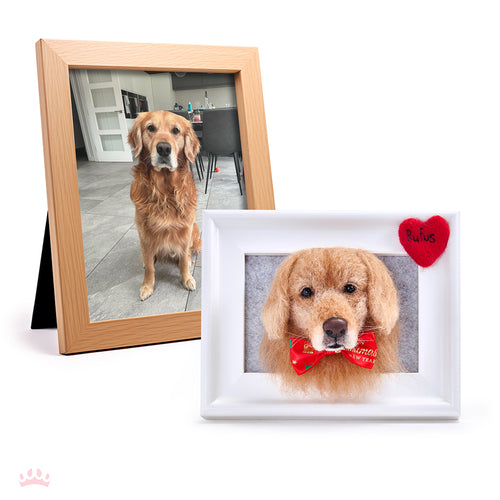 Handmade 3D Pet Face in Frame