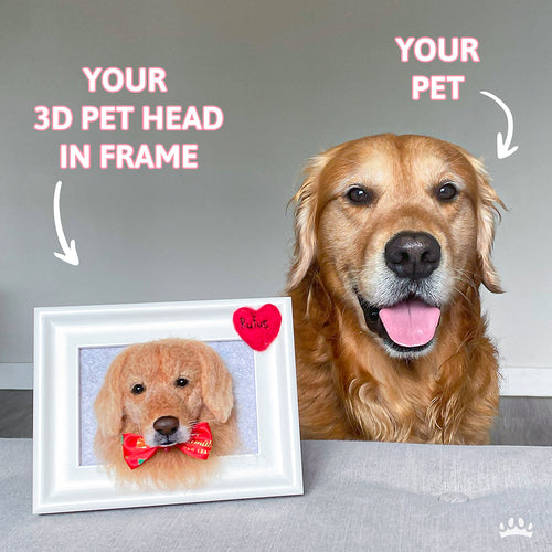 Handmade 3D Pet Face in Frame