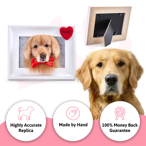 Handmade 3D Pet Face in Frame