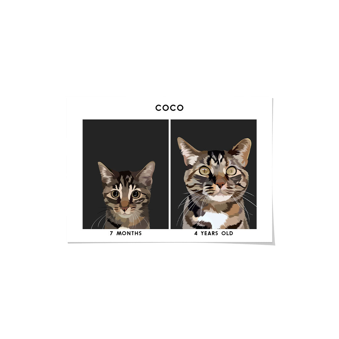 Kitten to Adult Cat Portrait