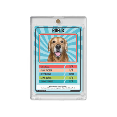 Acrylic Protective Case