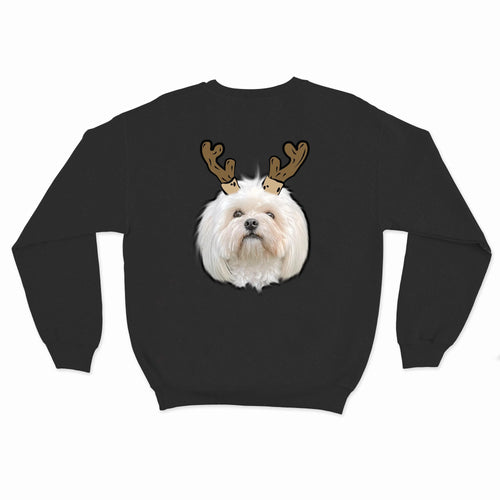 Crown and Paw - Custom Clothing Novelty Pet Face Christmas Sweatshirt Black / Reindeer Antlers / S