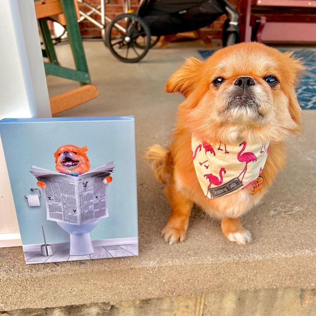 Restroom Pet Portrait - Custom Pet Art