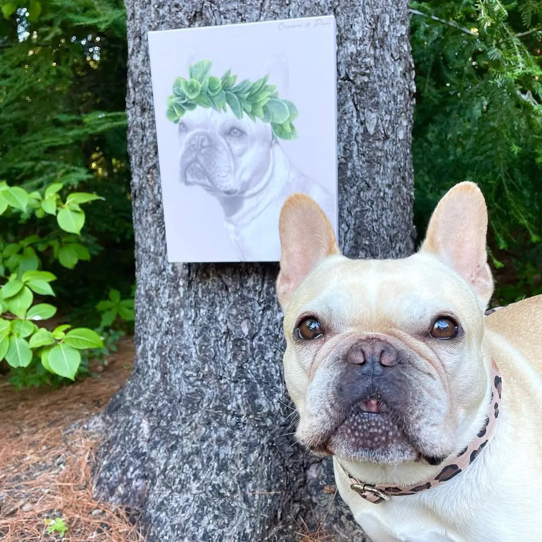 Roman Crown Pet Portrait - Custom Canvas